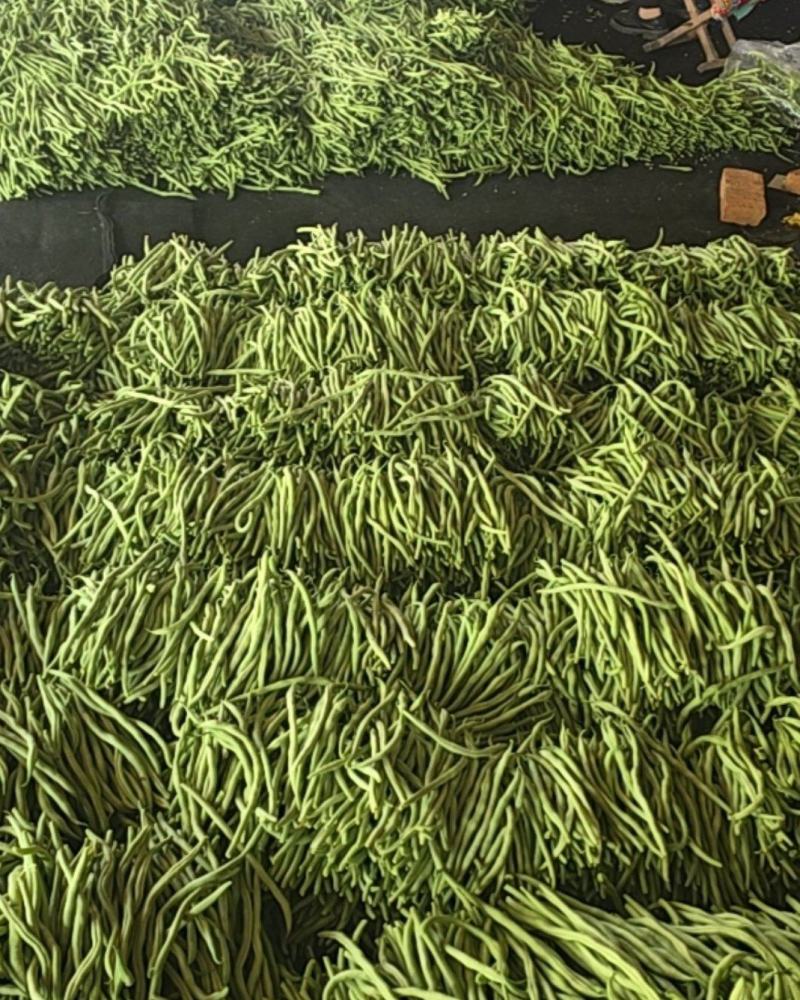 对接各大商超，各大市场，各大电商平台。