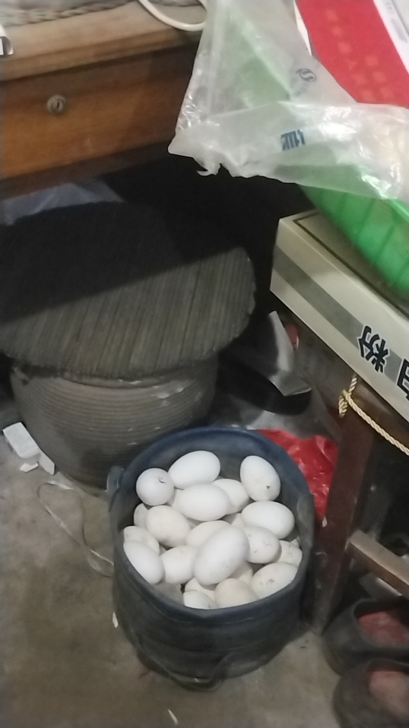 卖自己家养的的鹅蛋