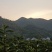 高山茶叶
