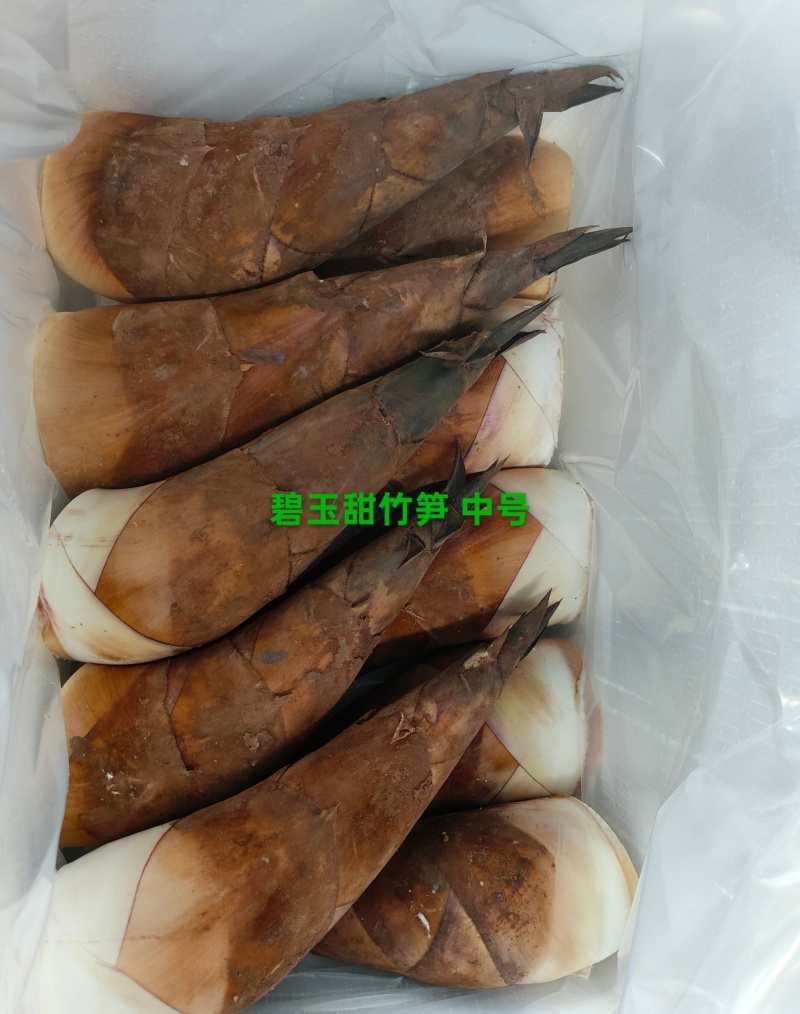 云南甜龙笋开始上市现挖现发新鲜直达！