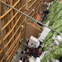 对接各种商超，各大市场各大电商平台