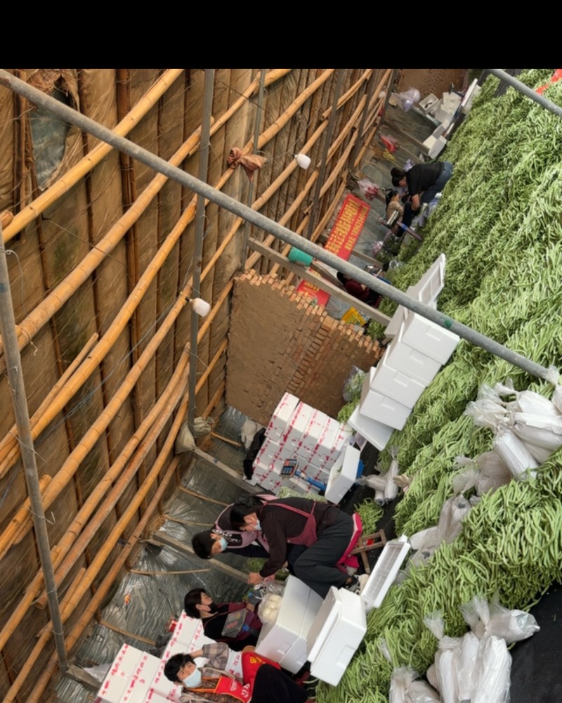 对接各种商超，各大市场各大电商平台