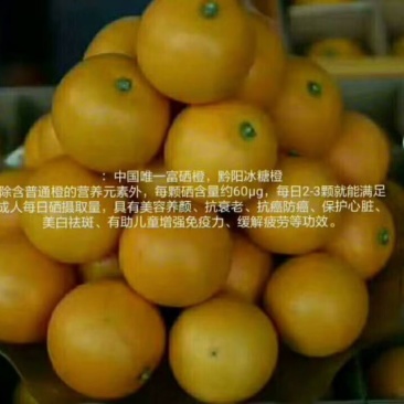 黔阳冰糖橙