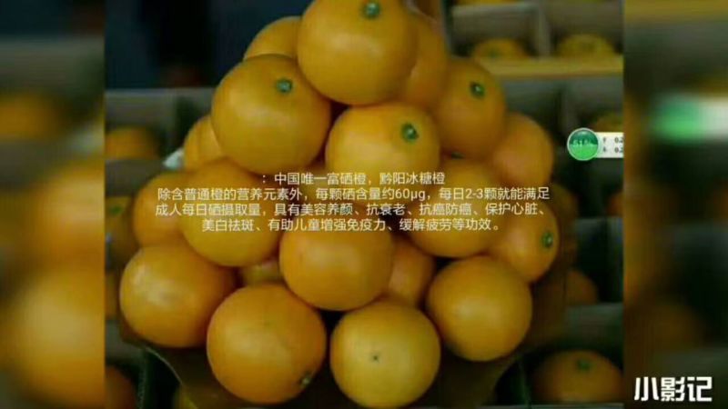 黔阳冰糖橙