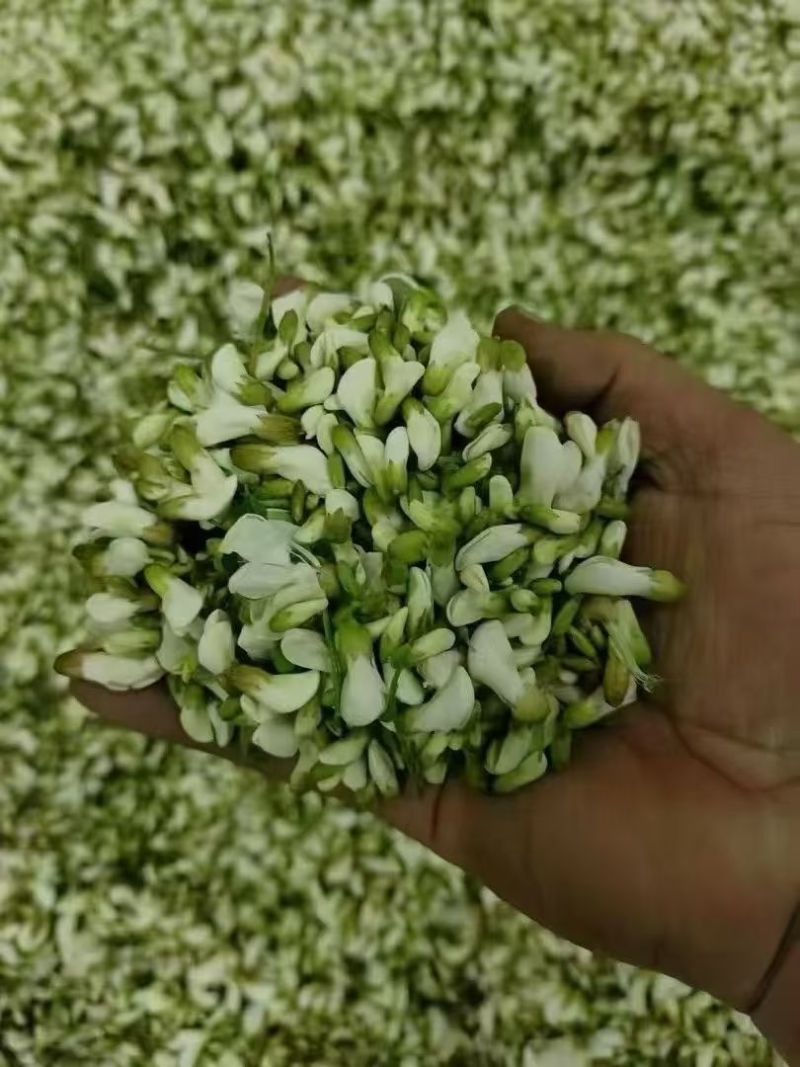 槐花***********