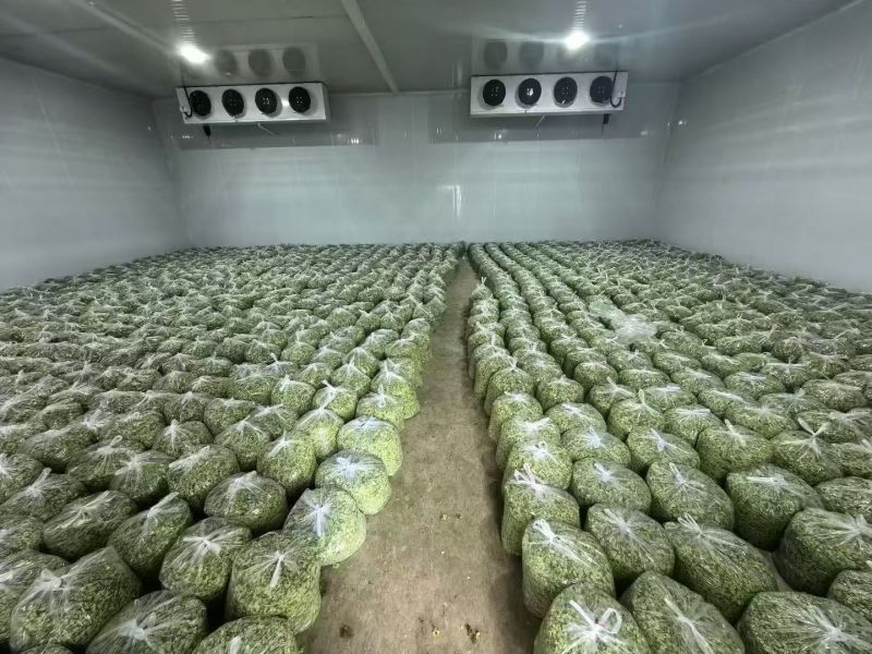 槐花***********