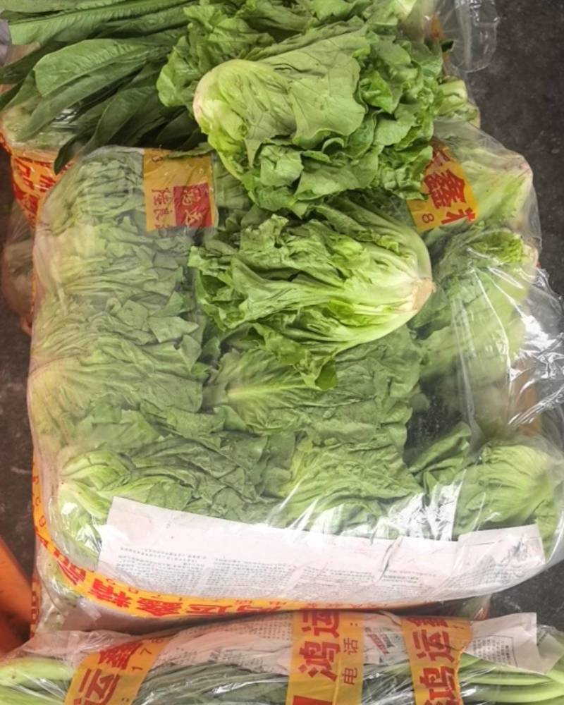 云南陆良包装水菜