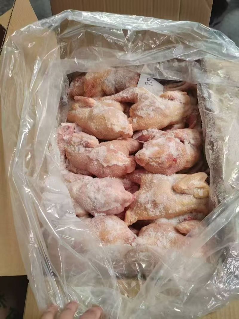 二级三黄鸡，清库处理价，能用的老板来聊聊