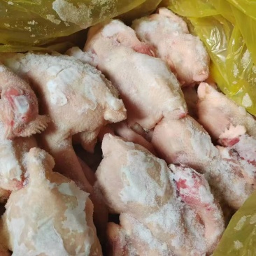 二级三黄鸡，清库处理价，能用的老板来聊聊