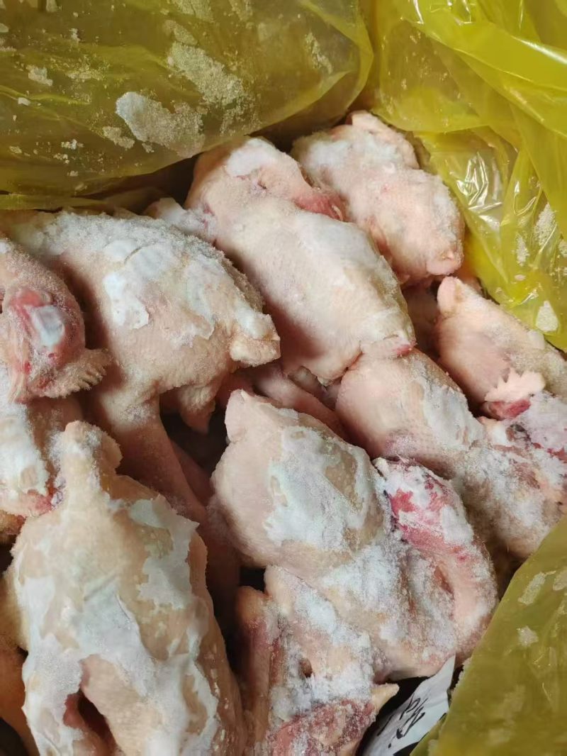 二级三黄鸡，清库处理价，能用的老板来聊聊