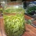 恩施富硒绿茶