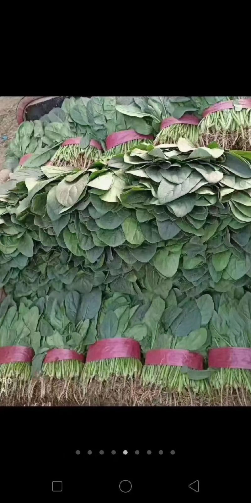 果蔬