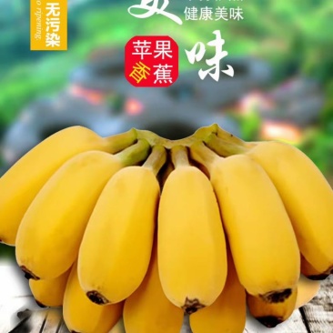 【精品批发】广西苹果焦保质保量品质优一件代发包邮产地直发