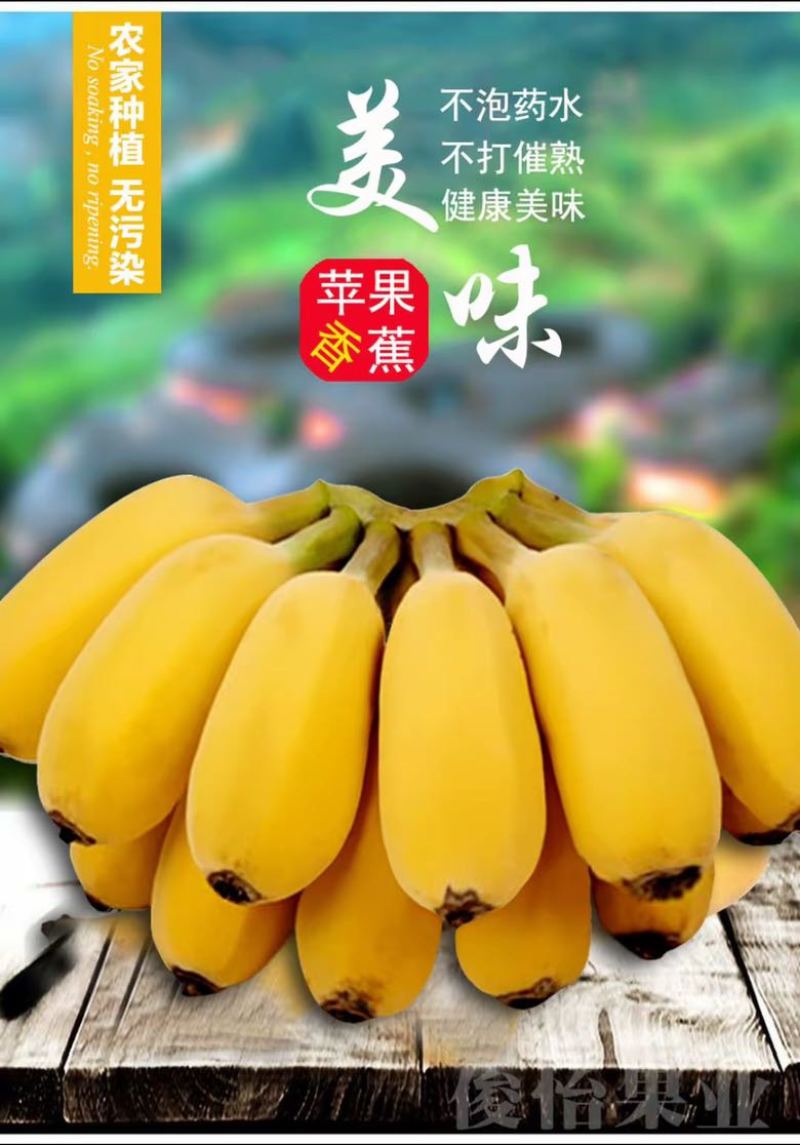 【精品批发】广西苹果焦保质保量品质优一件代发包邮产地直发