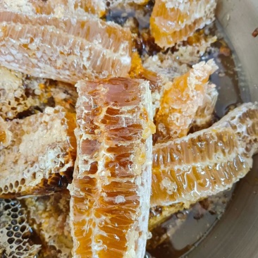 自己家采的土蜂蜜