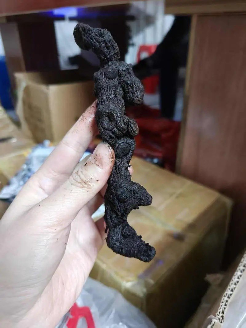 精品野生黄米青，价格实惠，数量不多