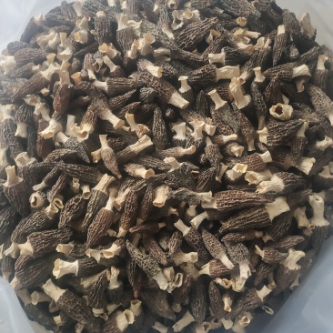 干货羊肚菌