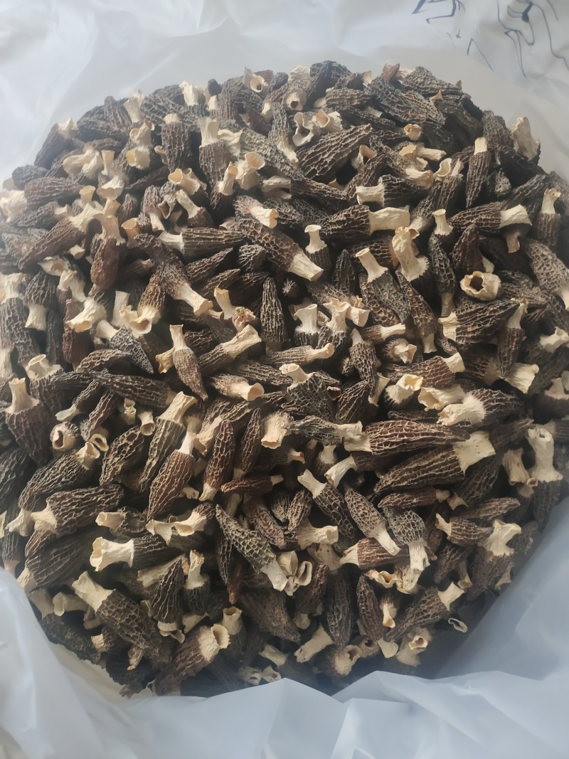 干货羊肚菌