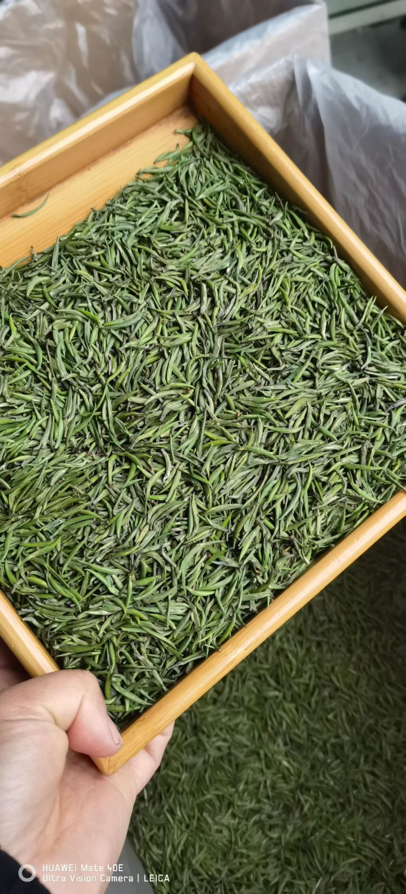 茶