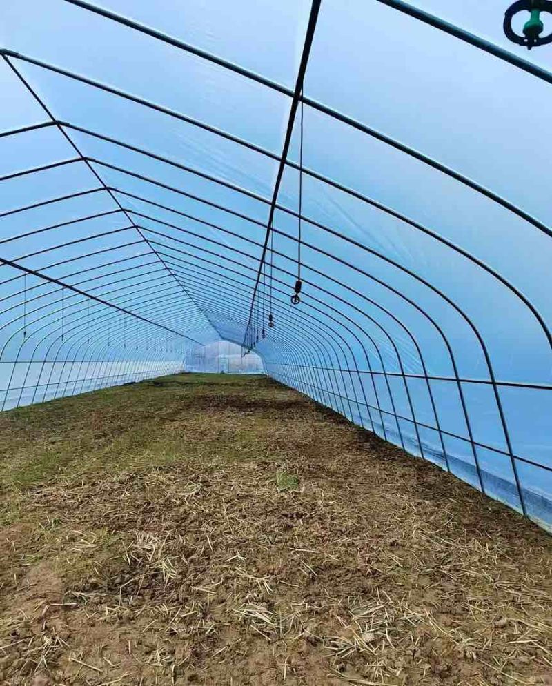 种植大棚大棚骨架温室大棚蔬菜大棚测量安装春秋棚