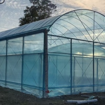 种植大棚大棚骨架温室大棚蔬菜大棚测量安装春秋棚