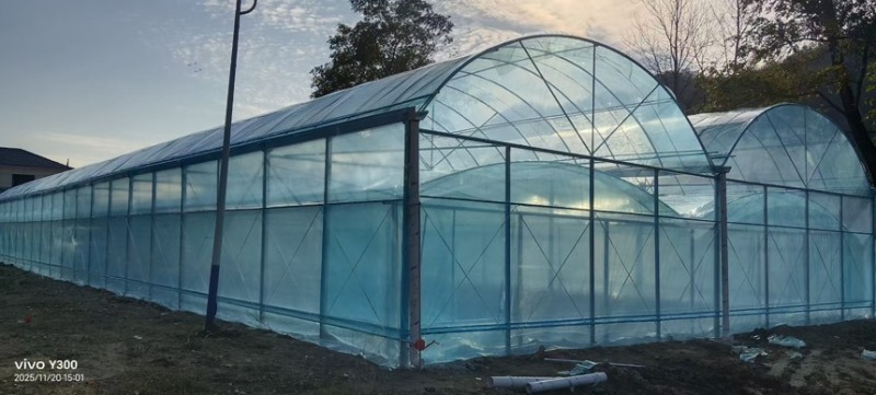 种植大棚大棚骨架温室大棚蔬菜大棚测量安装春秋棚