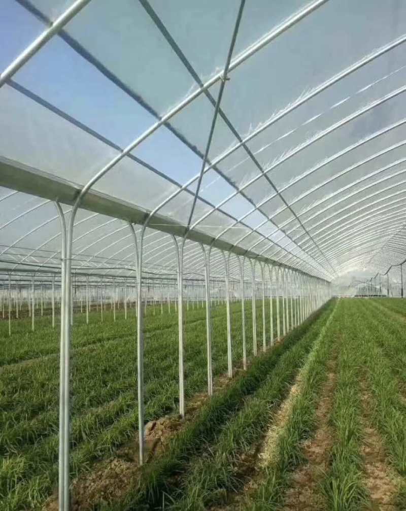 种植大棚大棚骨架温室大棚蔬菜大棚测量安装春秋棚
