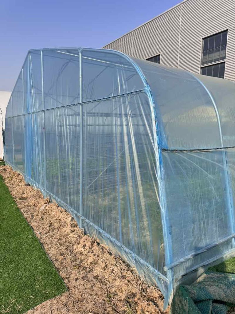 种植大棚大棚骨架温室大棚蔬菜大棚测量安装春秋棚