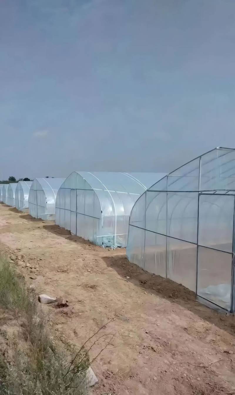 种植大棚大棚骨架温室大棚蔬菜大棚测量安装春秋棚