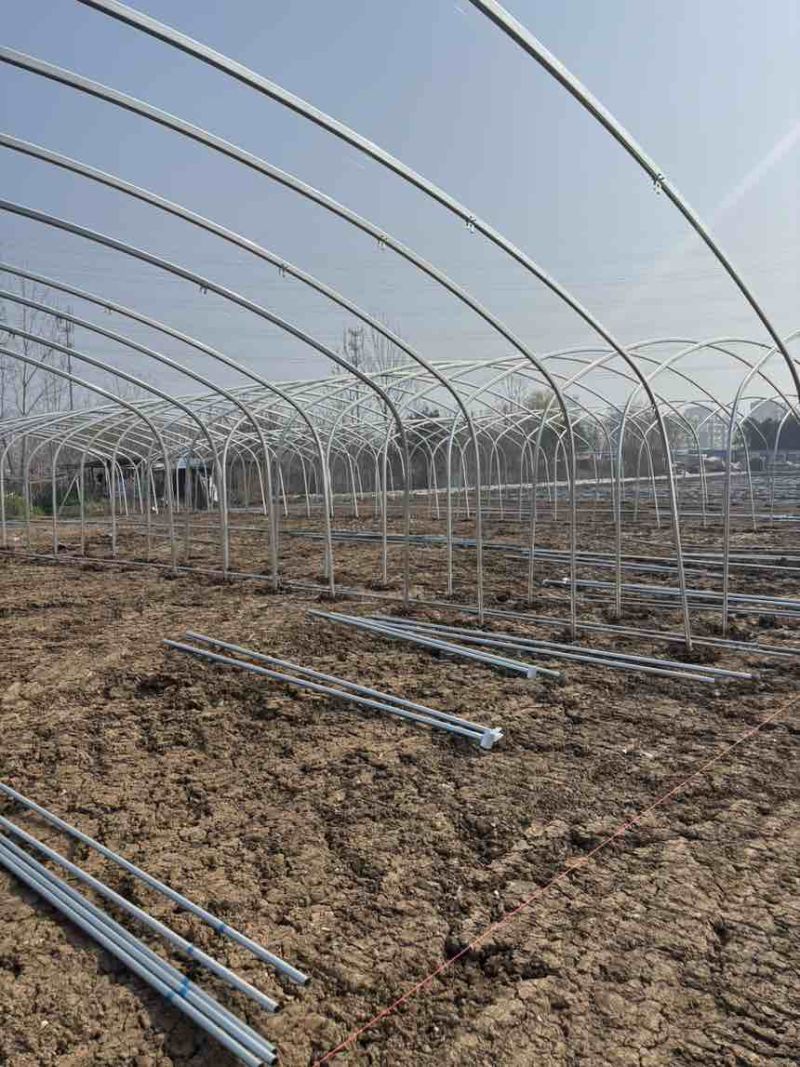 种植大棚大棚骨架温室大棚蔬菜大棚测量安装春秋棚
