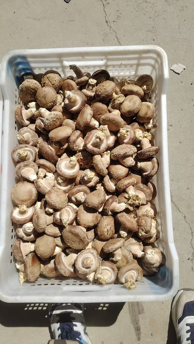 通货价格美丽