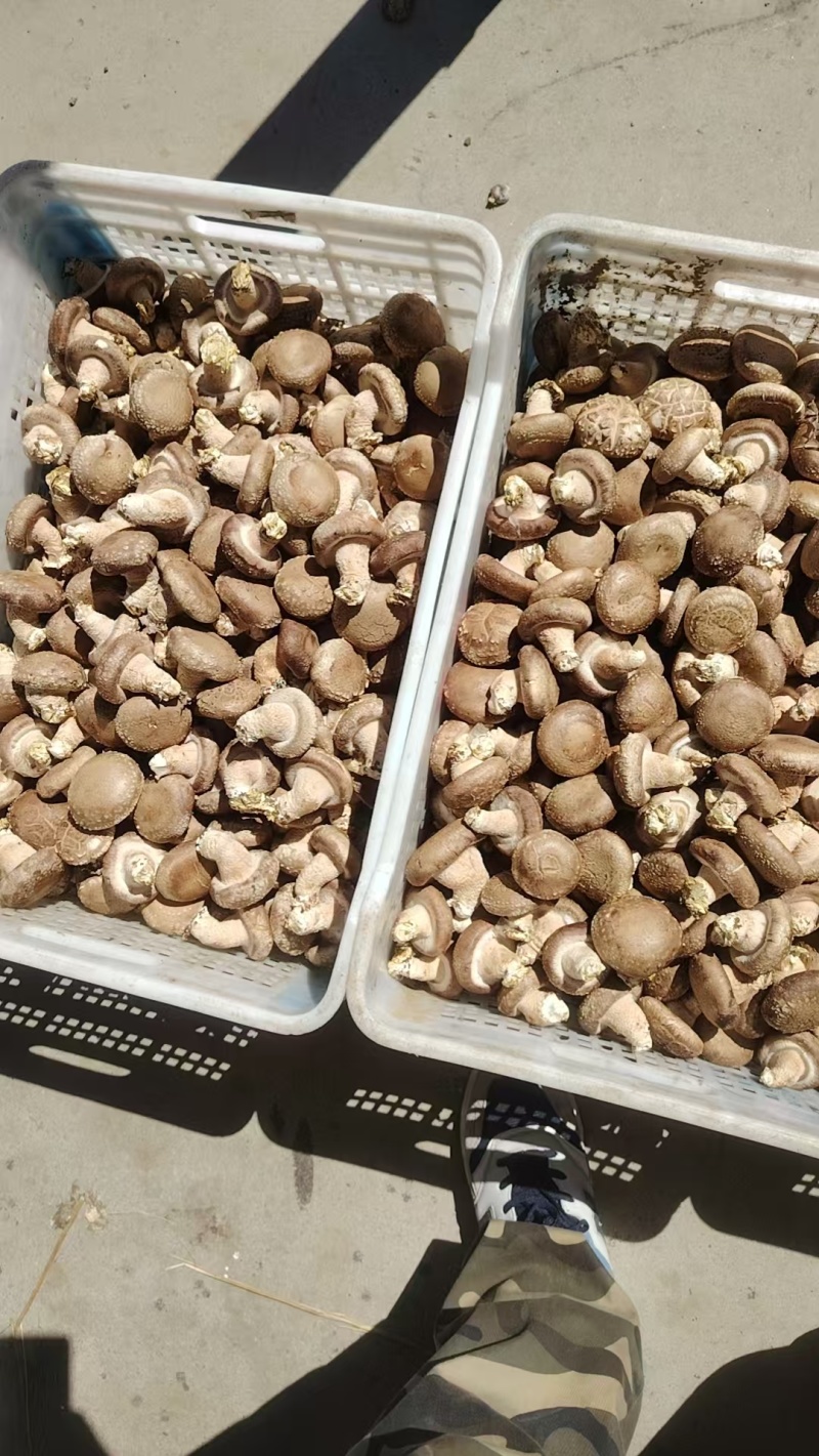 通货价格美丽