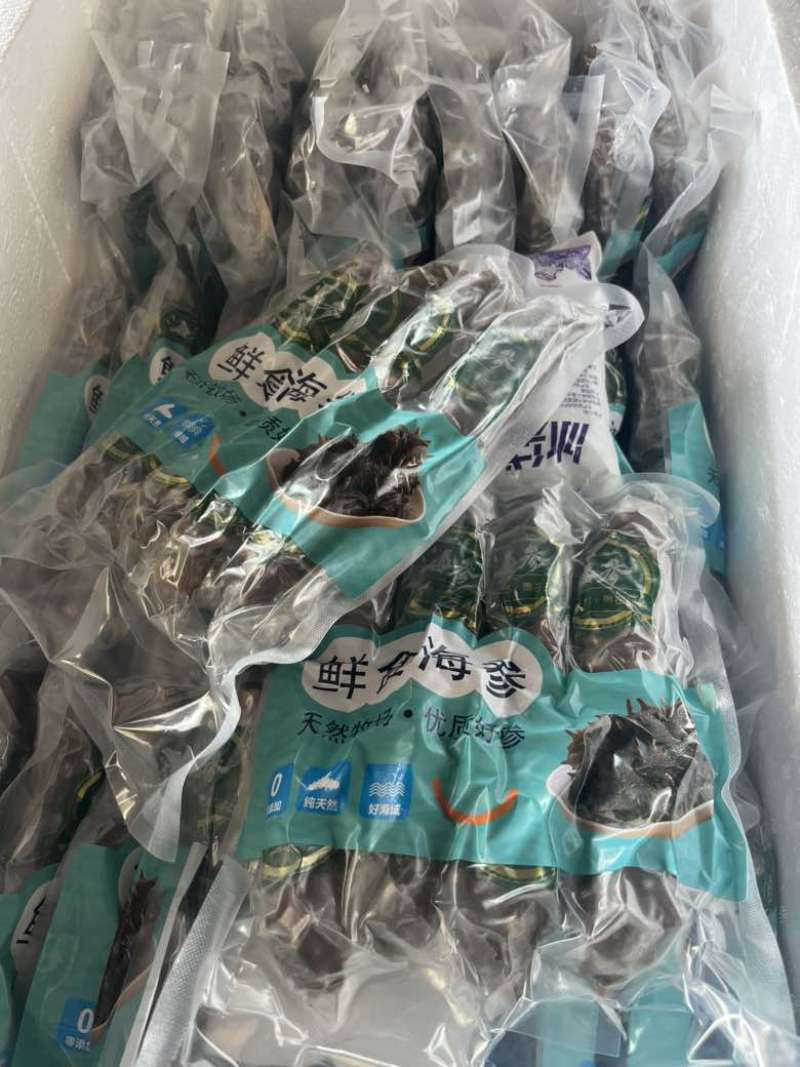 海参10个头一斤，高品质海参，批发价格，有需要的老板联系我。