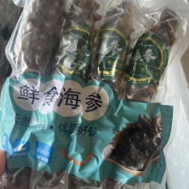 海参10个头一斤，高品质海参，批发价格，有需要的老板联系我。