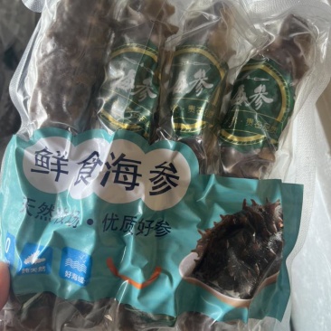 海参10个头一斤，高品质海参，批发价格，有需要的老板联系我。