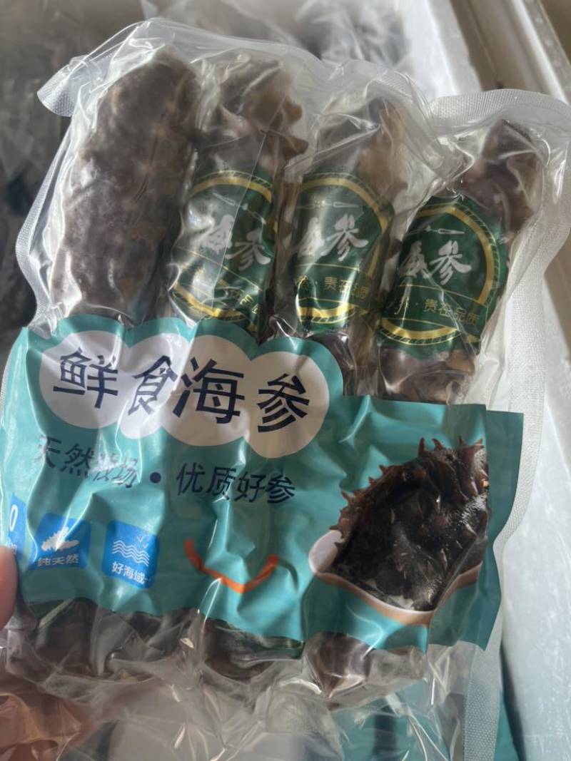 海参10个头一斤，高品质海参，批发价格，有需要的老板联系我。