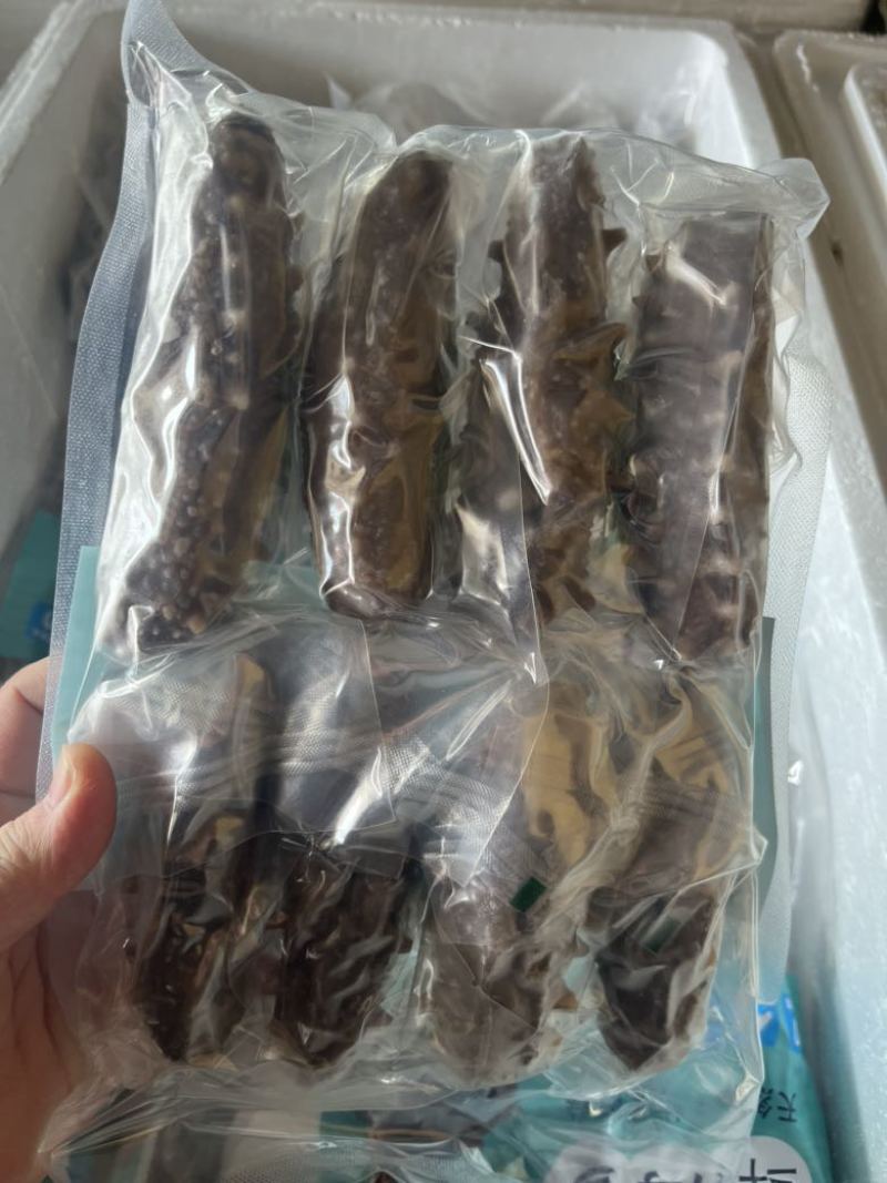 海参10个头一斤，高品质海参，批发价格，有需要的老板联系我。