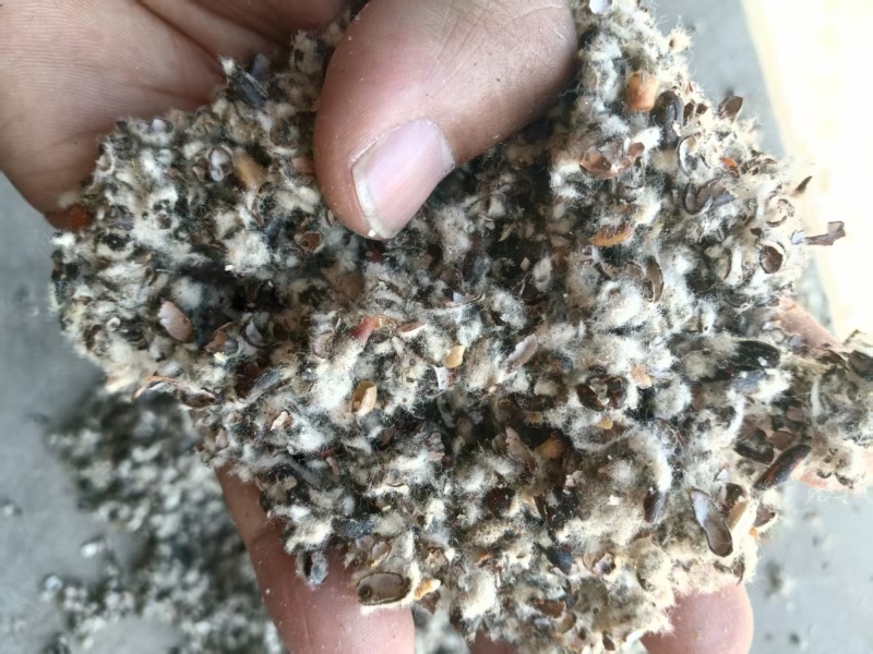 棉籽壳压缩包批发