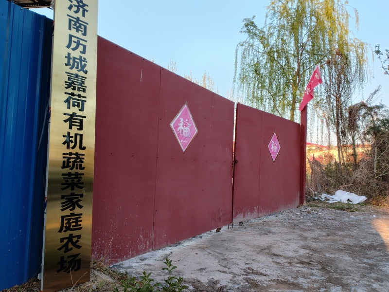 新鲜芦笋批发零售