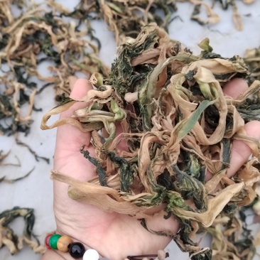 生态菜干无化学农药