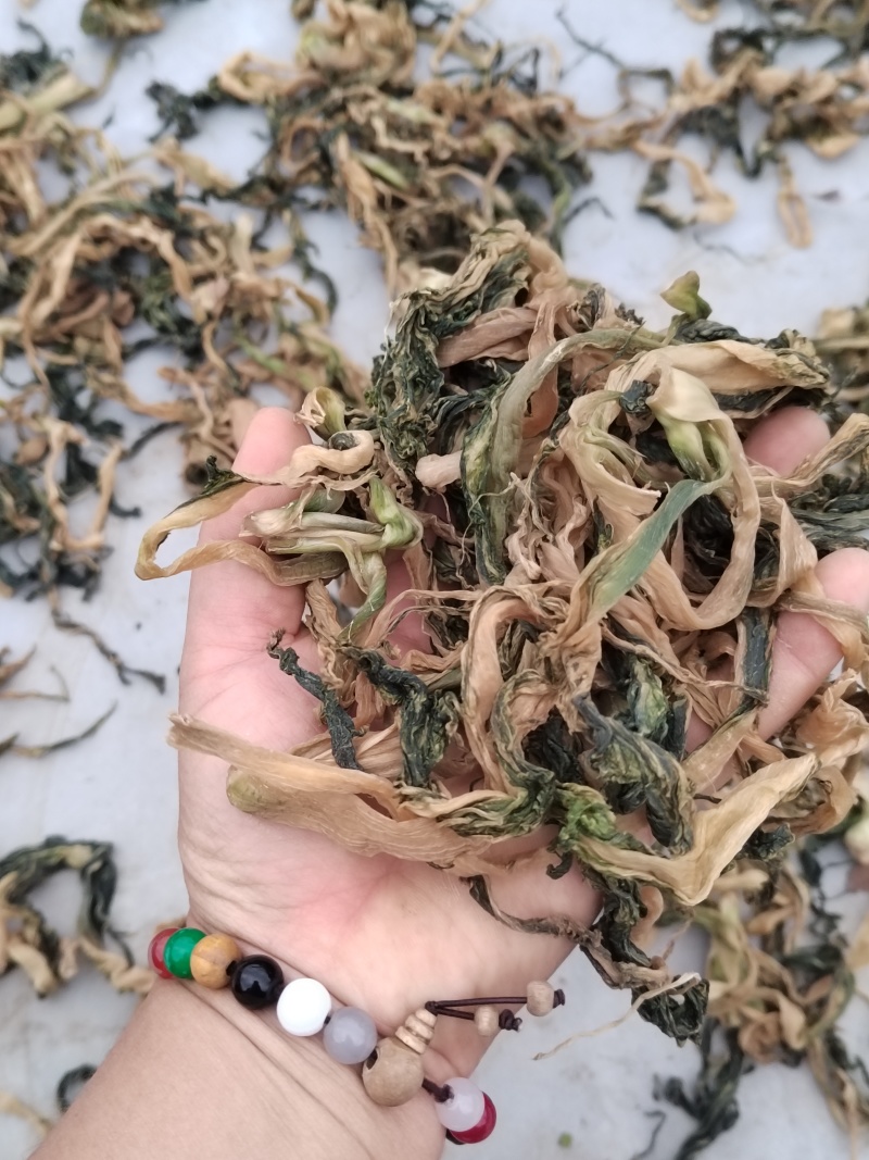 生态菜干无化学农药