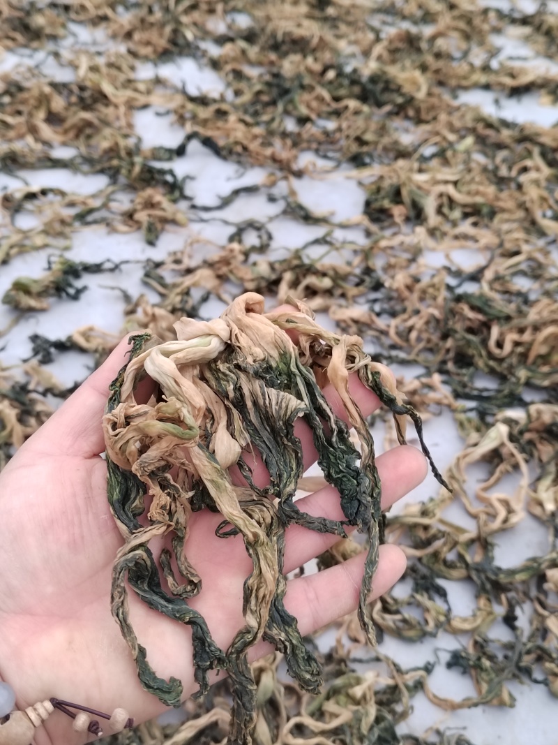 生态菜干无化学农药