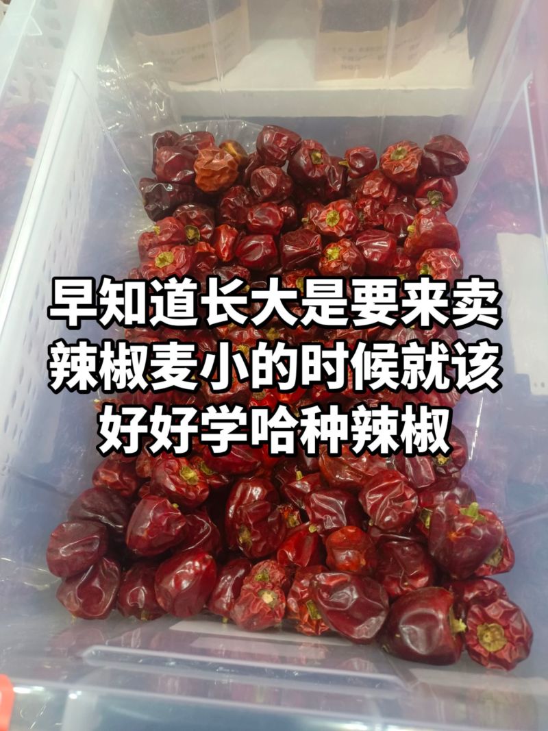 遵义辣椒干辣椒
