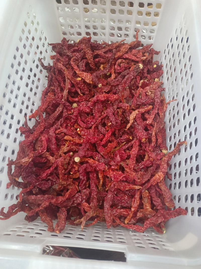 遵义辣椒干辣椒