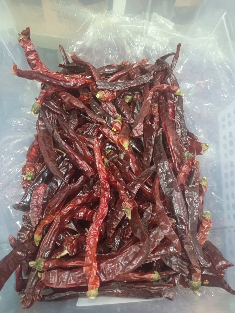 遵义辣椒干辣椒