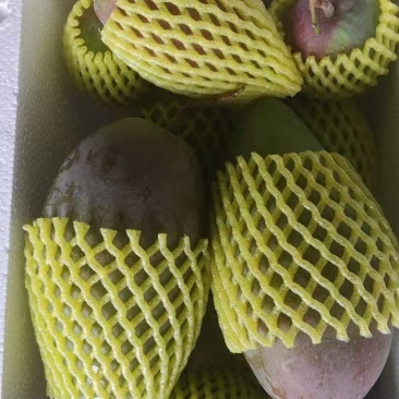海南贵妃芒，一件代发