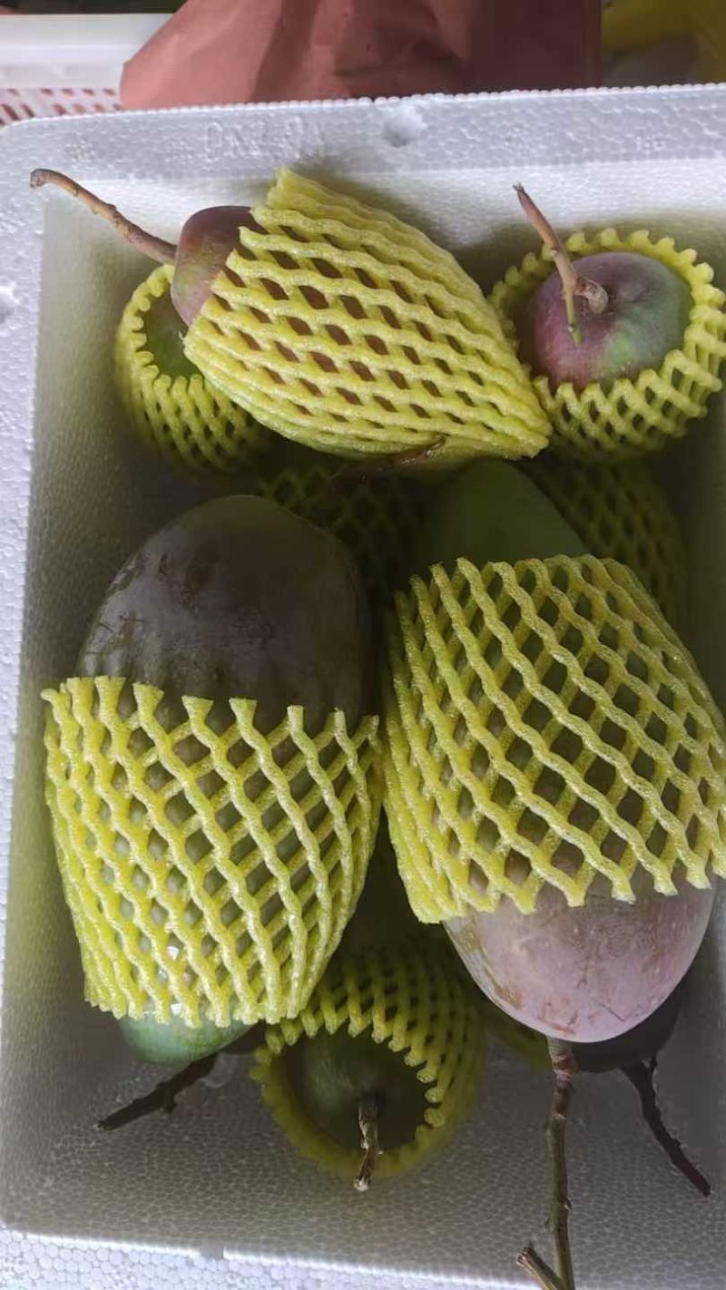 海南贵妃芒，一件代发