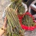 贵州野蕨菜