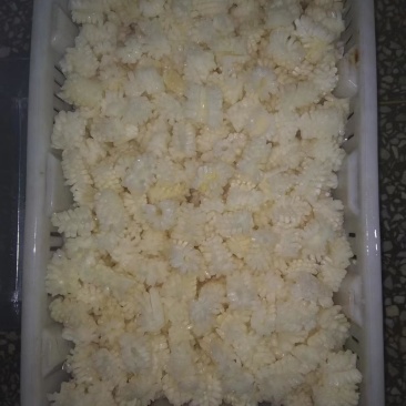冷冻目鱼花