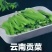 贡菜